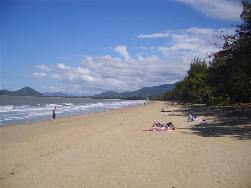 Palm Cove, isn't it lovely