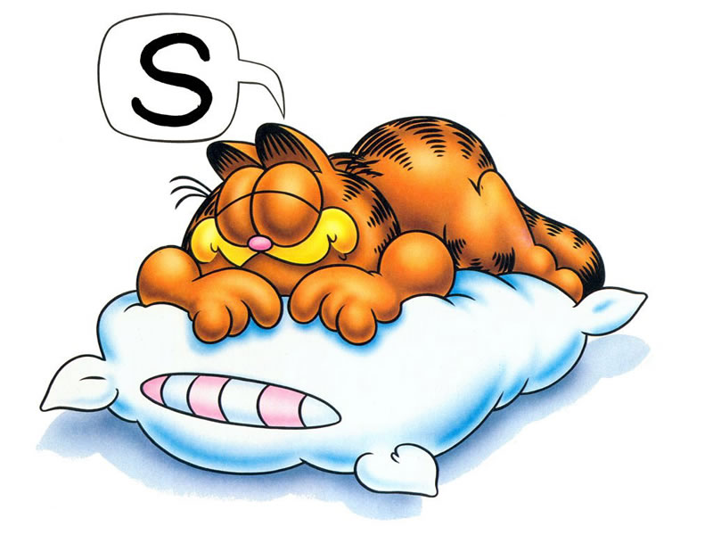 Garfield asleep